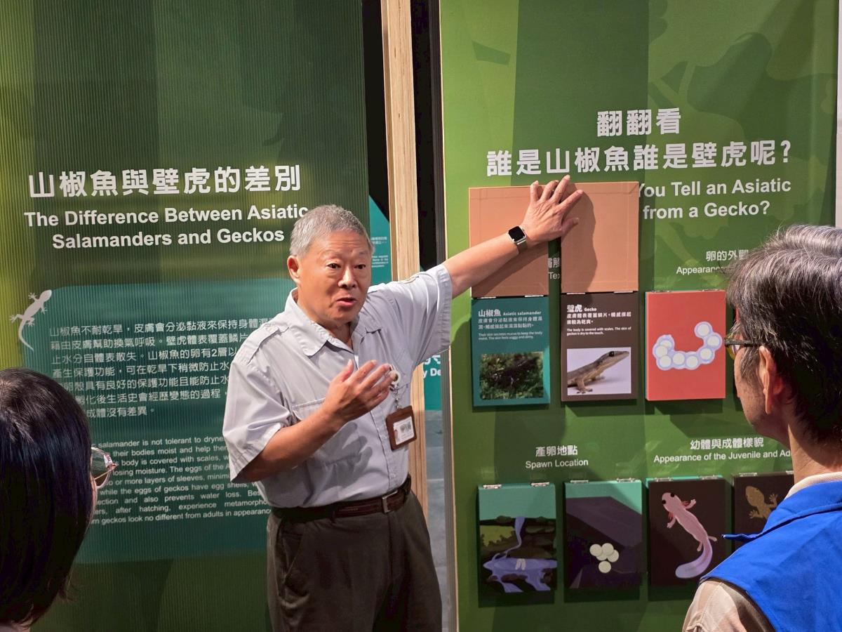 展場導覽