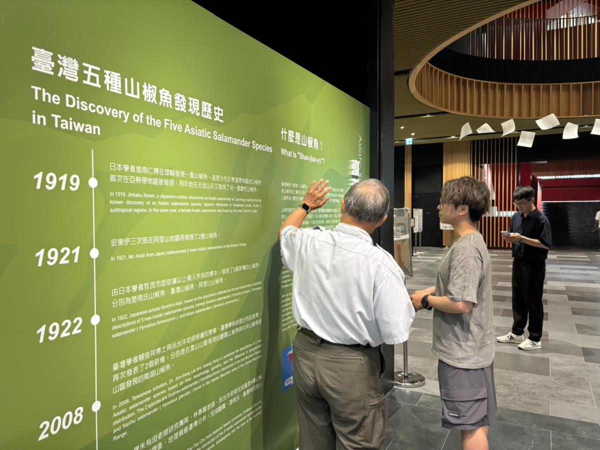 山椒魚特展導覽