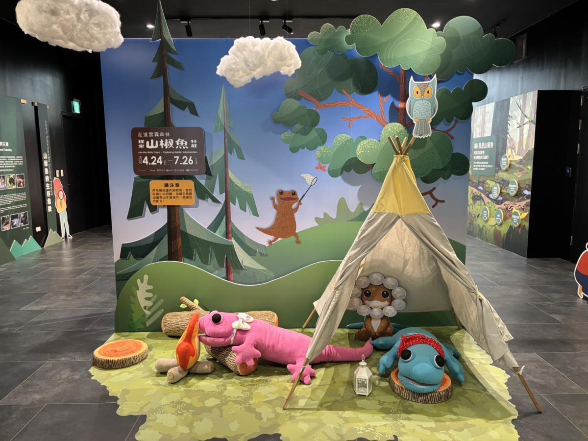 山椒魚特展佈景