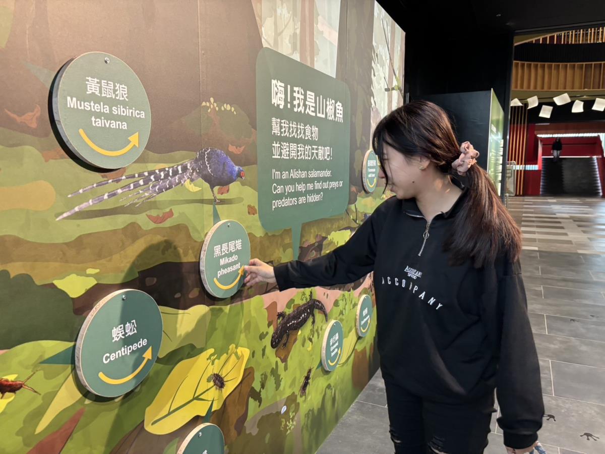 走進雲霧森林—探索山椒魚特展