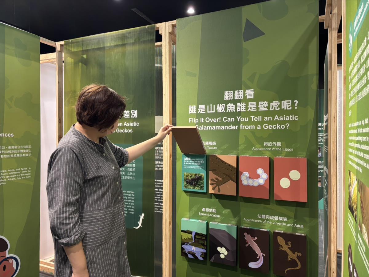 山椒魚特展互動裝置