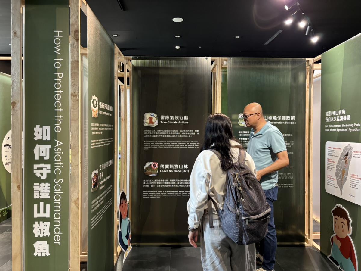 走進雲霧森林—探索山椒魚特展