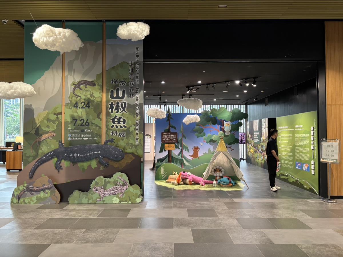 走進雲霧森林—探索山椒魚特展